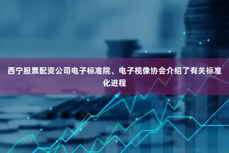 西宁股票配资公司电子标准院、电子视像协会介绍了有关标准化进程